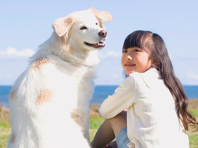 Jewel’s cut Gardenとは