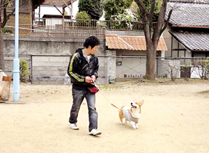 わんちゃんのためのサービスが充実しています